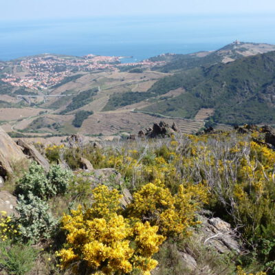 roussillon vue sur collioure