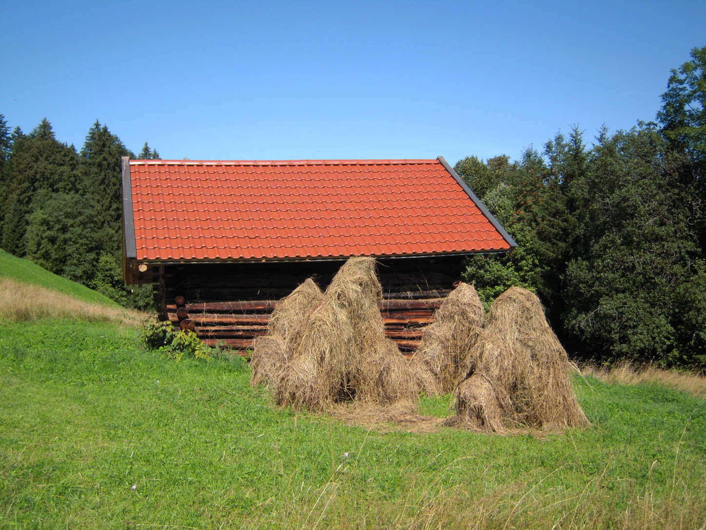 bayern heumandl