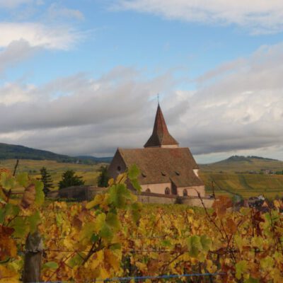 vosges Weinberge